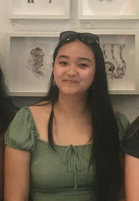 Honey is looking for a Rental Property / Apartment / Studio / Room in Delft