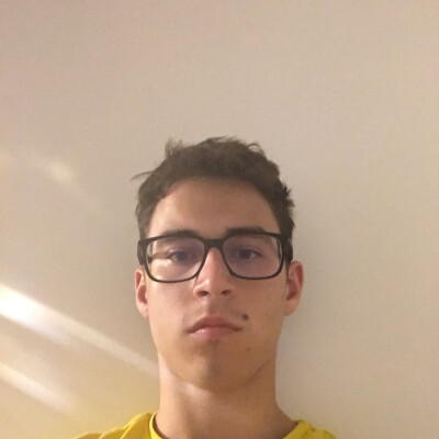 Andrei is looking for a Room in Delft